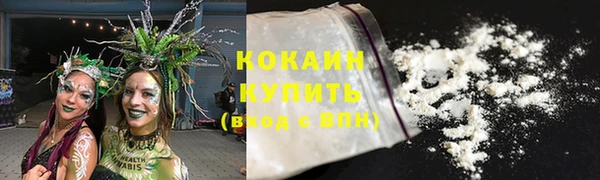 молекула духа Дмитриев