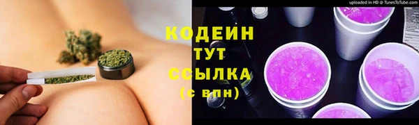 молекула духа Дмитриев