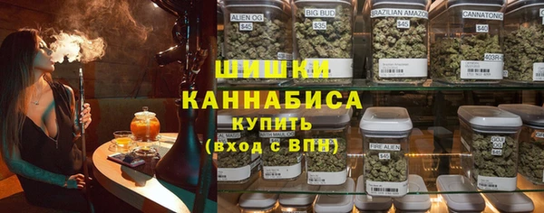 молекула духа Дмитриев