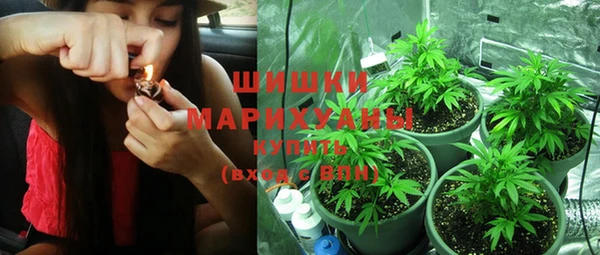 молекула духа Дмитриев