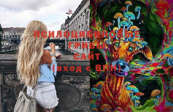 молекула духа Дмитриев