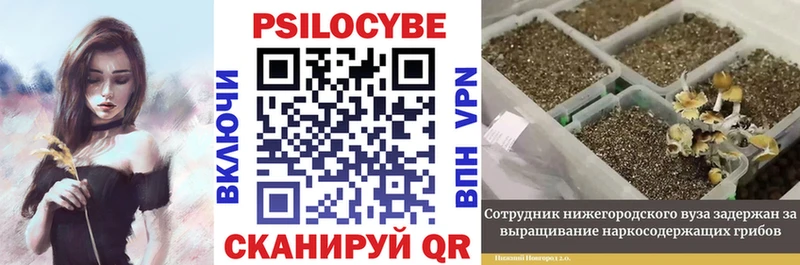 Галлюциногенные грибы GOLDEN TEACHER Осташков