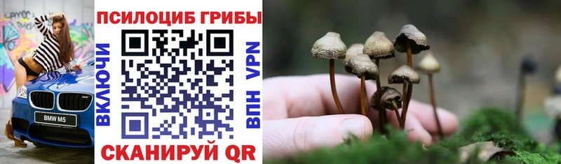 Псилоцибиновые грибы GOLDEN TEACHER  Купить закладки  Осташков 